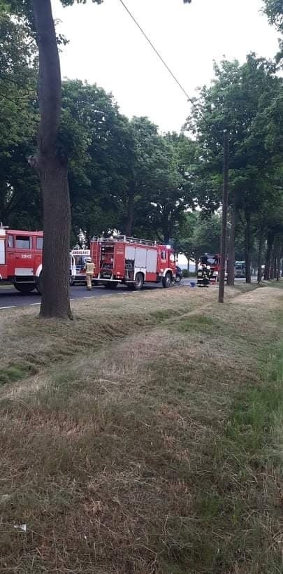 Do wypadku doszło na trasie Słubice - Cybinka we wtorek, 22...