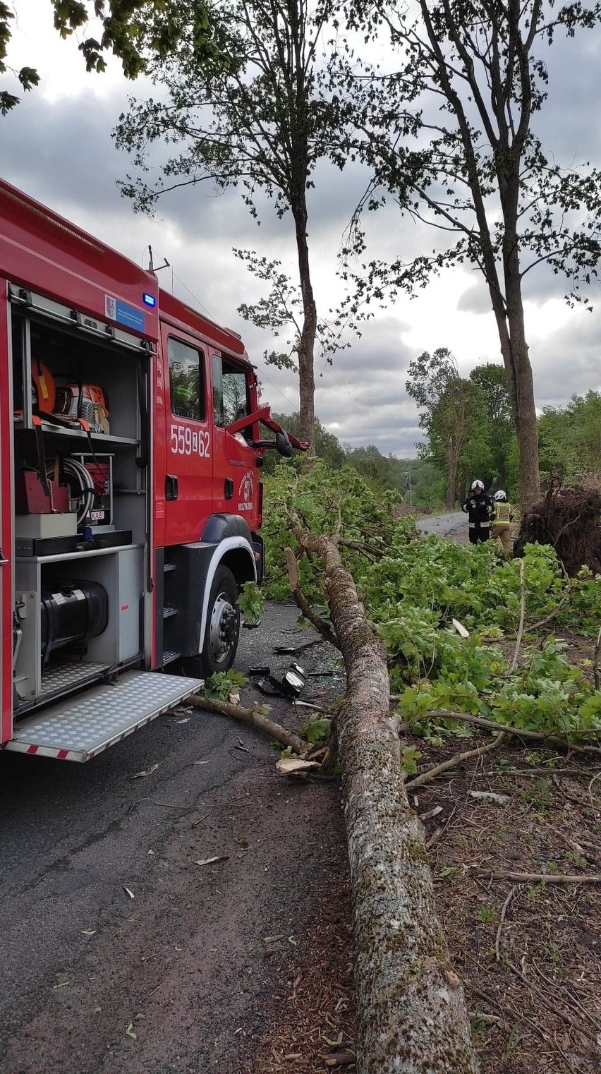 Padające drzewo uszkodziło wóz Ochotniczej Straży Pożarnej w Połczynie-Zdroju 