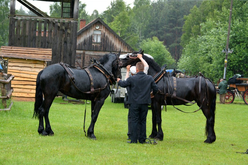 Dzień Konia na Podlasiu już w najbliższą niedzielę. Będą konkursy w powożeniu i pokazy jeździeckie
