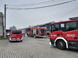 Pożar hali magazynowej w Rudzie Śląskiej przy ul. Pionierów. W akcji uczestniczyło 47 strażaków. WIDEO