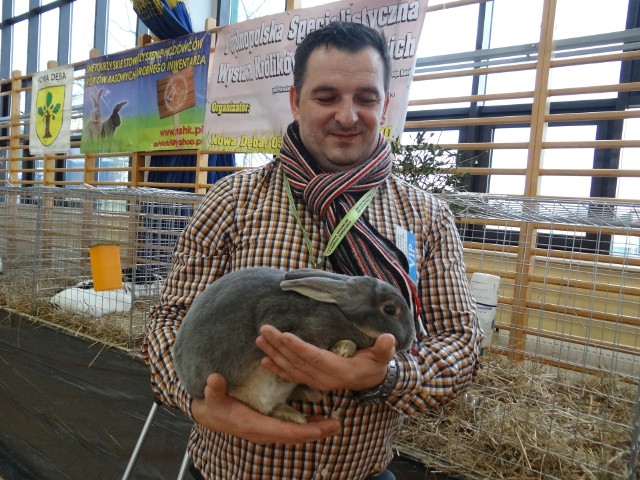 Sylwester Klimek prezes Świętokrzyskiego Stowarzyszenie Hodowców Królików Rasowych i Drobnego Inwentarza z jednym z królików.