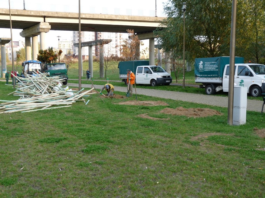 Papieski krzyż z kwiatów zakwitnie na wiosnę w wąwozie na...