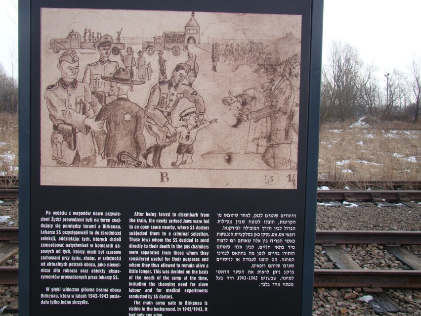 Budują drogę do Judenrampe i ziemniaczarek w Brzezince. To historyczne obiekty po byłym niemieckim obozie Auschwitz-Birkenau [ZDJĘCIA]