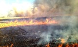 Gmina Malechowo: Spłonęło około 15 hektarów ścierniska [ZDJĘCIA]