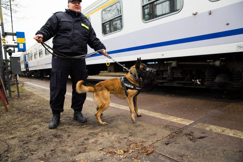 Prokuratura szuka pasażerów okradzionych w pociągach "Uznam" i "Przemyślanin". Złodzieje są już za kratkami!