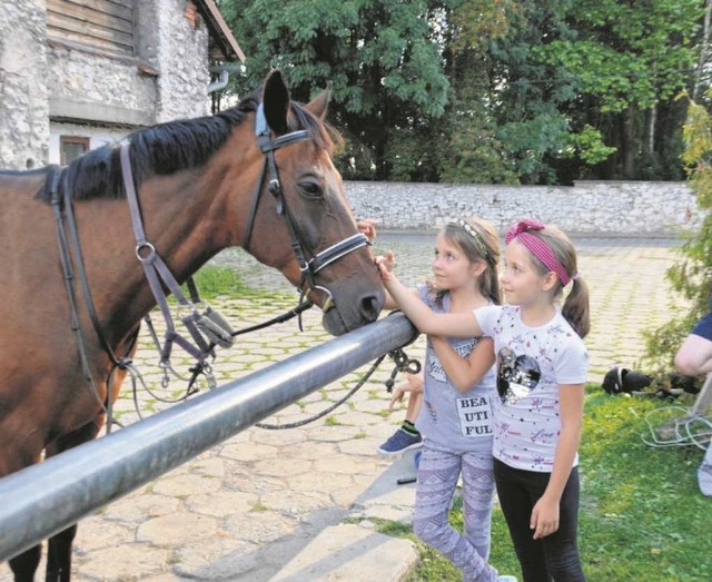 Jagoda i Kalina wiedzą, że do konia należy podchodzić z przodu