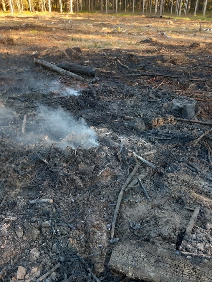 Pożar przy Kamiennych Kręgach w gm. Manowo