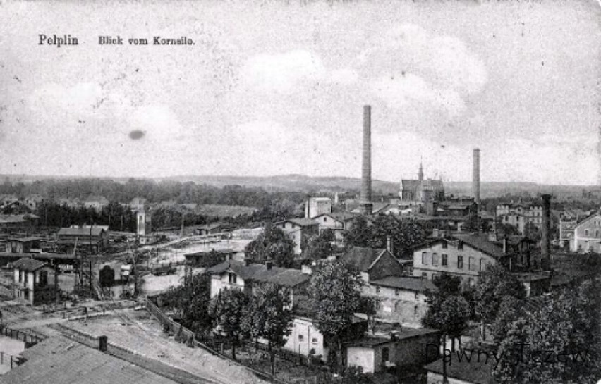 Cukrownia w Pelplinie. Jak wygląda historia pelplińskiej cukrowni? Archiwalne zdjęcia