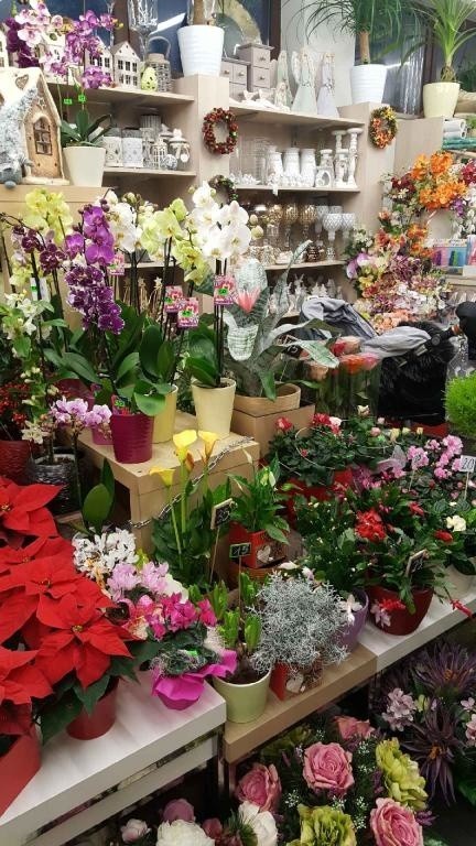 FloraDeco w Rzeszowie - kwiaciarnia z pasją. Dowóz kwiatów na terenie miasta