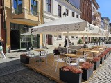 Gdzie w Toruniu zjeść dania bez mięsa? Wegetariańska oferta restauratorów 