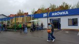 "Mrówka” w Opatowie już otwarta. To 220 sklep sieci w Polsce [ZDJĘCIA]