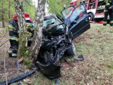 Trzykolne Młyny: Śmiertelny wypadek niedaleko Kórnika. Samochód uderzył w drzewo - nie żyje kobieta [ZDJĘCIA]