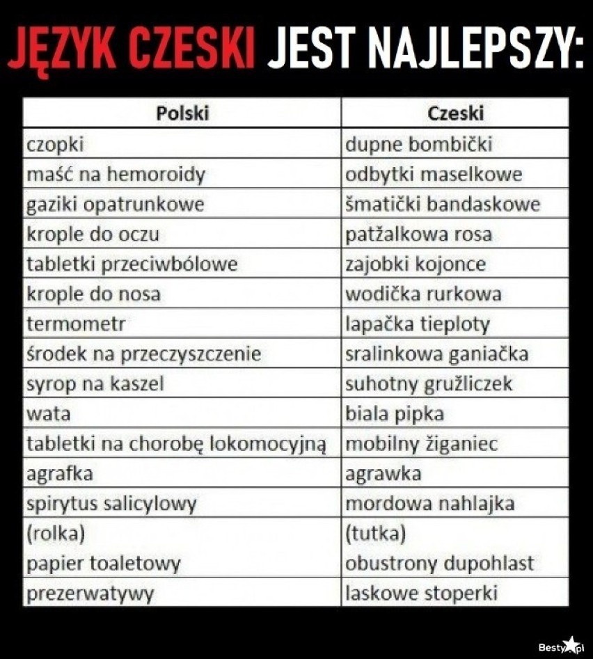 Nowa porcja humoru prosto z Czech! Zobaczcie najlepsze czeskie MEMY, popłaczecie się ze śmiechu!
