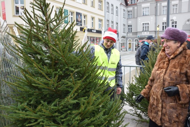 Na jarmarku można też kupić świąteczne drzewka