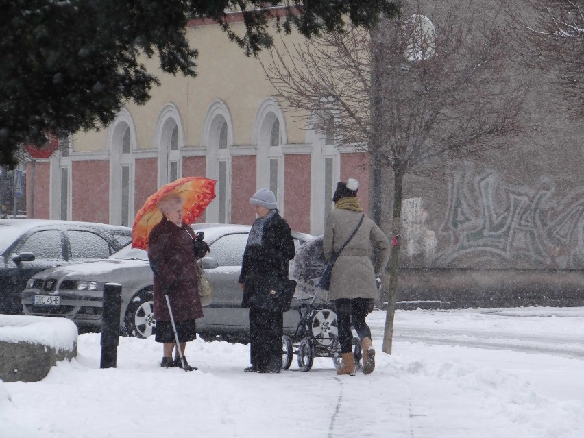 Zimowy Racibórz w obiektywie Stachowa