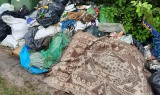 Stosy śmieci na ogrodach działkowych Wymysłów w Tarnobrzegu. Wszystko tam można znaleźć - zobacz zdjęcia 