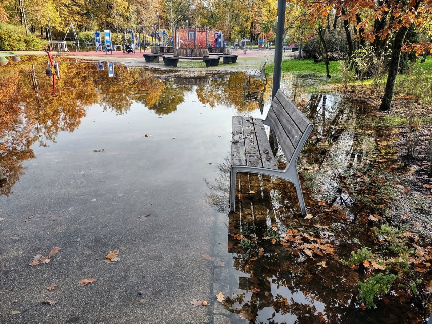 Sołacki Park Wodziczki zmaga się z częstymi zalaniami od...