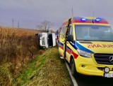 Wypadek w Karczewie na drodze krajowej nr 15 pod Golubiem-Dobrzyniem. Bus wylądował w rowie