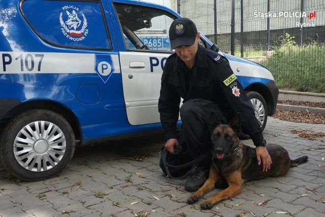 Policjanci z psem tropiącym Kasja odnaleźli zaginioną kobietę