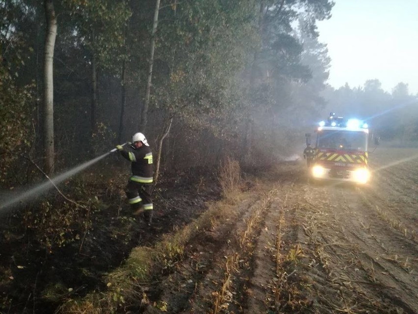 Na miejsce wysłano strażaków z OSP Stary Laskowiec,  JRG...