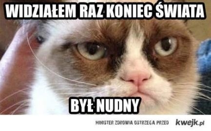 Grumpy Cat zarobił już 100 milionów dolarów