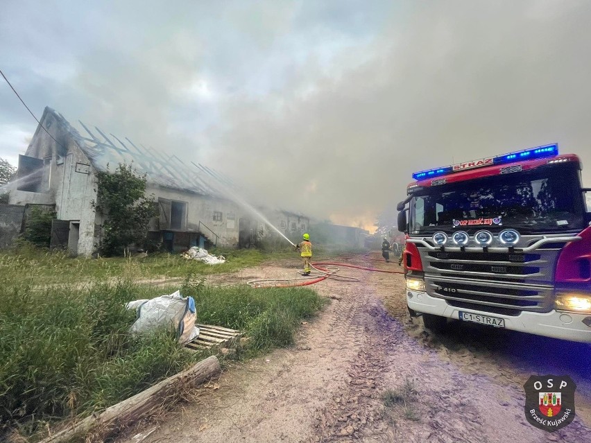 Pożar w gminie Brześć Kujawski