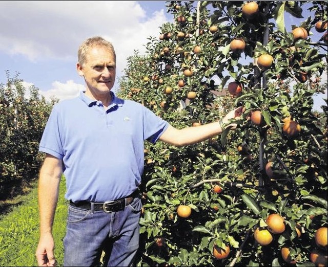 Zbigniew Frączek, sadownik z Zabrzeży, podkreśla, że cena jabłka jest tak niska, że produkcja przestaje być opłacalna