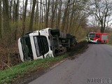 Wypadek w Ciepielowicach pod Opolem. Ciężarówka wioząca świnie przewróciła się na bok. Część zwierząt padła