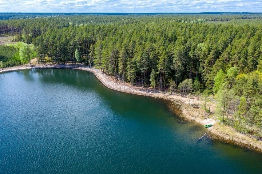 Właściciel jeziora Wielkie Oczko ogrodził je płotem. Sprawą zajęła się Regionalna Dyrekcja Ochrony Środowiska. Teraz zlecono monitoring 