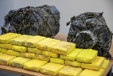 Celnicy w Belgii przechwycili ogromne ilości kokainy. Były ukryte w skrzyniach z bananami