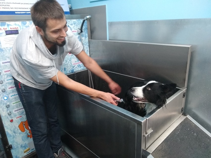 Pierwsza samoobsługowa myjnia dla psów we Wrocławiu [ZDJĘCIA]