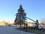 Choinki na placu Marii Konopnickiej już ubrane w lampki świąteczne (zdjęcia)