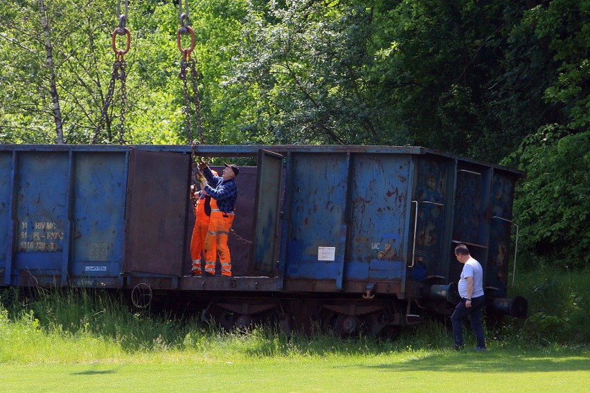 W niedzielę w Ciecierzynie w gm. Niemce wykoleił się pociąg towarowy. W poniedziałek usunięto wagony z torów. Zobacz zdjęcia