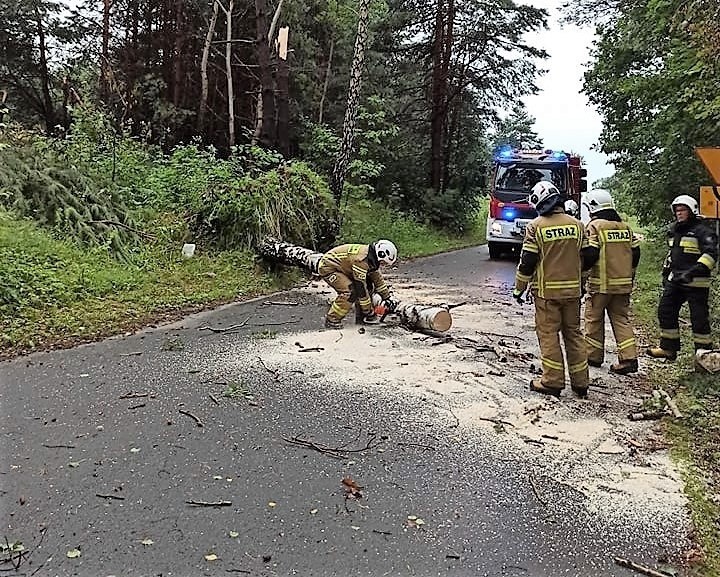 w powiecie olkuskim trwa sprzątanie po burzach i nawałnicach