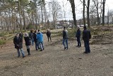 Mieszkańcy Wólek zaniepokojeni wycinką drzew w Parku Strzeleckim. Do Nowego Sącza przyjechali inspektorzy z Krakowa