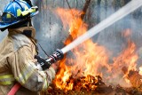 Alarm dla Europy. Fala upałów i wysokie zagrożenie pożarowe stwarza niebezpieczeństwo dla europejskich lasów