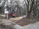 Park miejski w Oleśnie zamienia się w Centrum Bioróżnorodności. Modernizacja dzięki dotacji unijnej [zdjęcia]