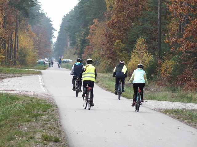 Na razie duże wzięcie mają trasy rowerowe po śródleśnych drogach asfaltowanych w starachowickich lasach