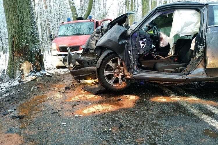 Groźny wypadek w Czerwionce-Leszczynach. 60-latek uderzył w drzewo ZDJĘCIA