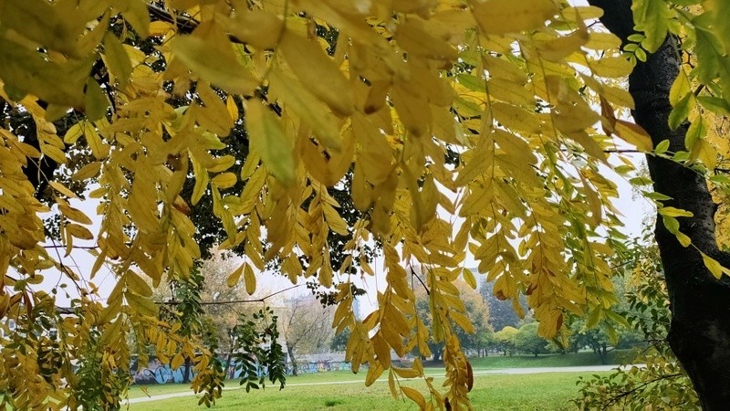 Park Hallera w Dąbrowie Górniczej w jesiennym klimacie...