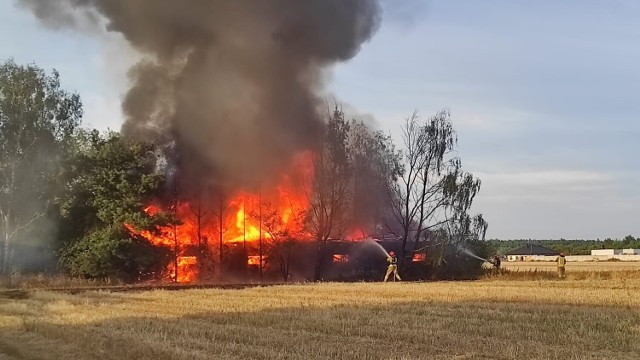 Pożar wybuchł około godziny 19. Ogień szybko się rozprzestrzeniał, a zagrożone były sąsiednie drzewa i krzewy.