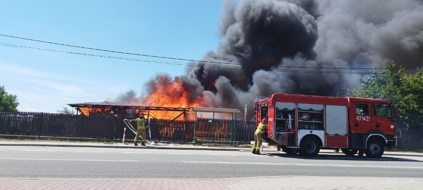 Sobotni pożar w Sandomierzu gasiły cztery zastępy strażaków