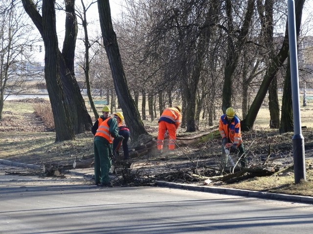 Kto pozwala wycinać drzewa na os. Rusa w Poznaniu?