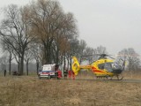 Wypadek w Małowicach: Kierowca trafił do szpitala (wideo, zdjęcia)