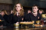 "Harry Potter". Fani stworzą nowy serial! Ma być inkluzywnie i nowocześnie! Aktorzy "Marauders Saga: Order Rising" będą ze społeczności LGBT+