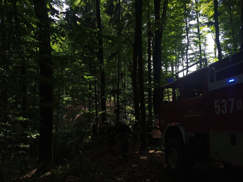 Tragiczny wypadek podczas pracy w lesie w miejscowości Niedźwiada. Nie żyje 52-letni mężczyzna [ZDJĘCIA]