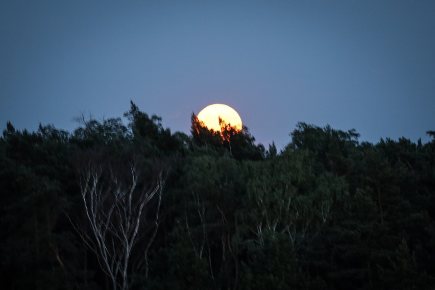 Truskawkowy Księżyc nad Lubuskiem. Superpełnia widziana z Zielonej Góry. To niezwykłe i bardzo rzadkie zjawisko. Mamy zdjęcia!