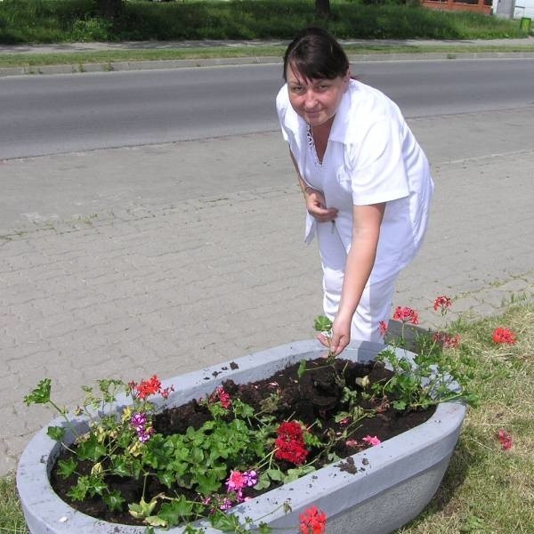 Wększość roślin została wyrwana i zniszczona - mówi Jolanta Kowalczyk, z Miejskiego Centrum Sportu i Rekreacji w Skarżysku