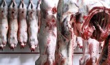 Polskie mięso z salmonellą. 300 kg trafiło do Czech i w większości zostało już zjedzone!