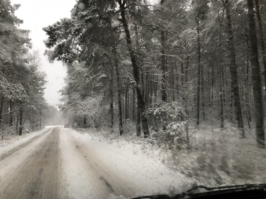 Większość miast w naszym regionie została dosłownie...